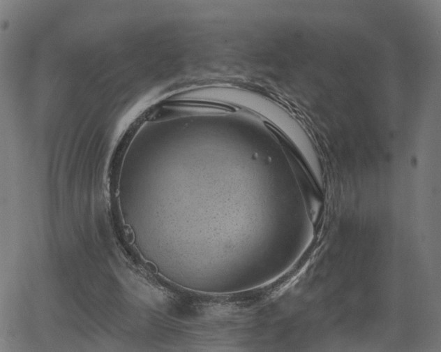 X0000062910246200601181226