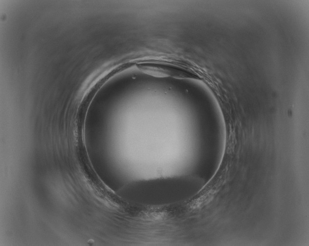 X0000062910247200601181226