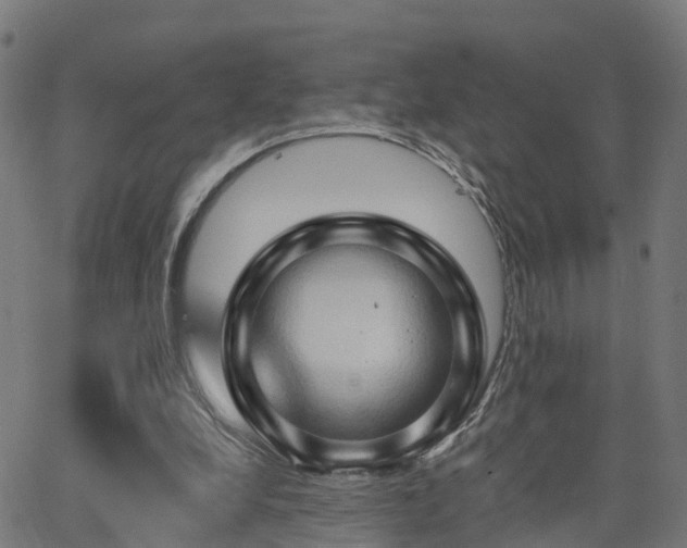 X0000062910248200601181226