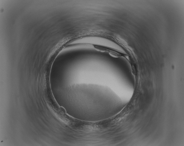 X0000062910250200601181226