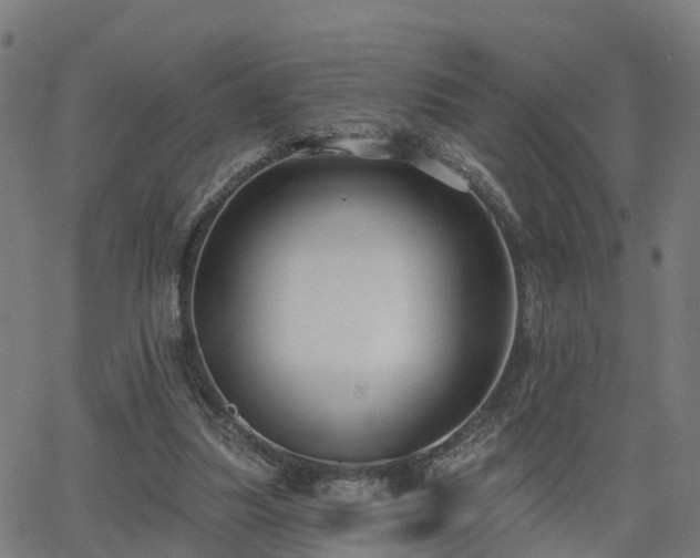 X0000062910251200601181226