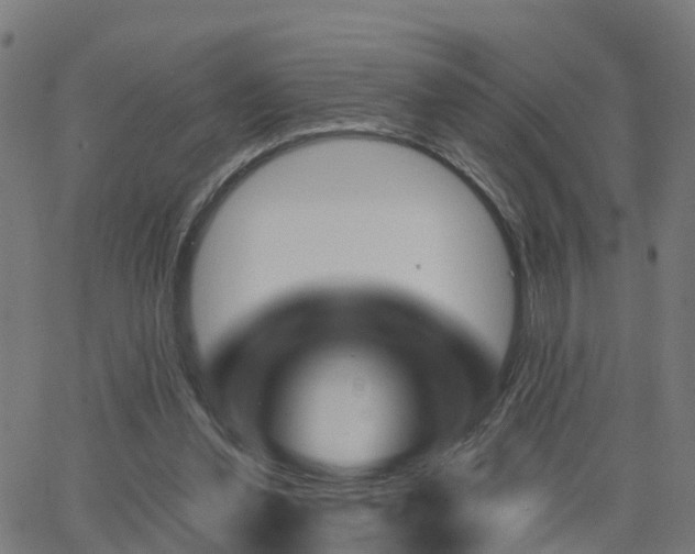 X0000062910252200601181226