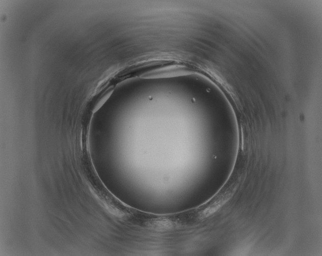 X0000062910253200601181226