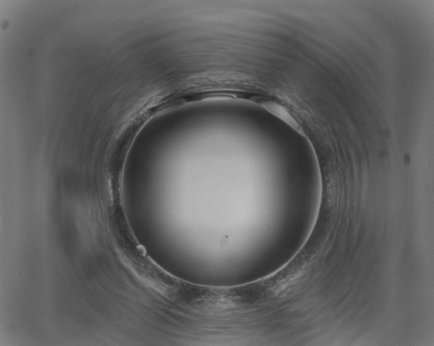 X0000062910254200601181226