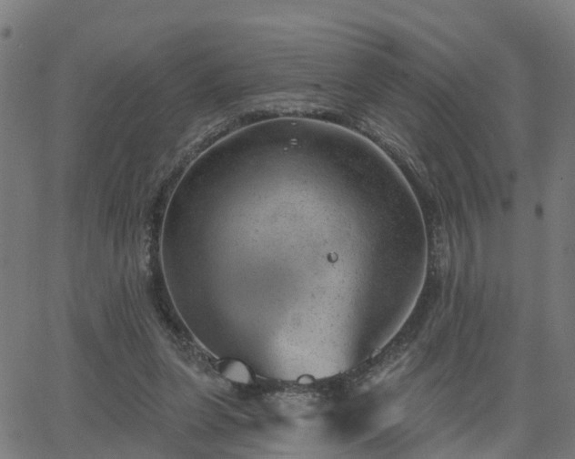 X0000062910255200601181226