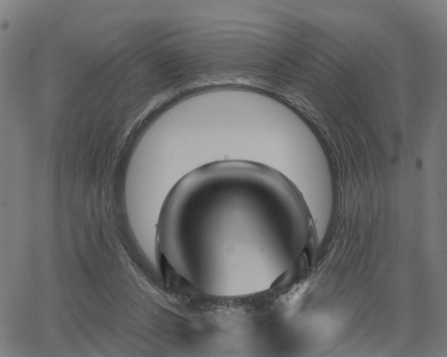 X0000062910256200601181226