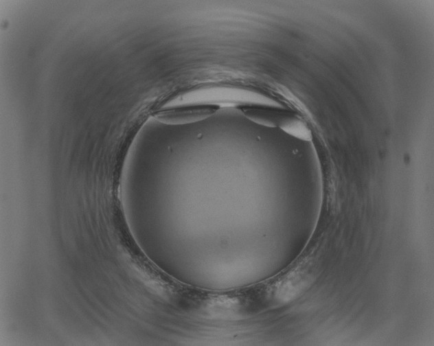 X0000062910257200601181226