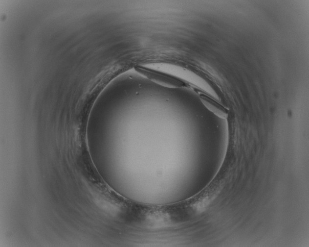 X0000062910258200601181226