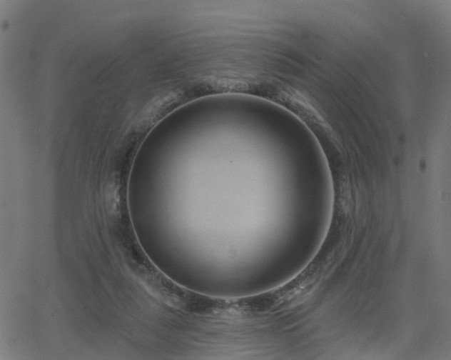 X0000062910259200601181227