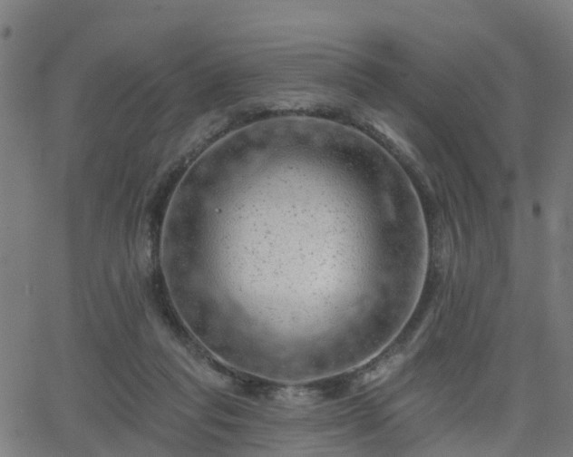 X0000062910261200601181227