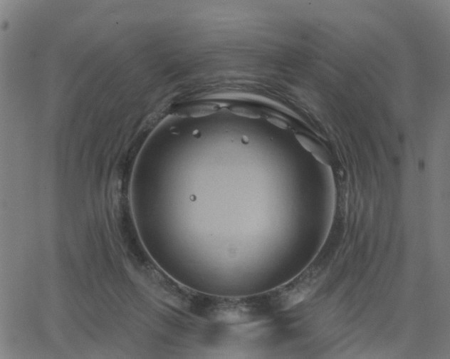 X0000062910263200601181227