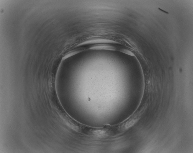 X0000062910265200601181227