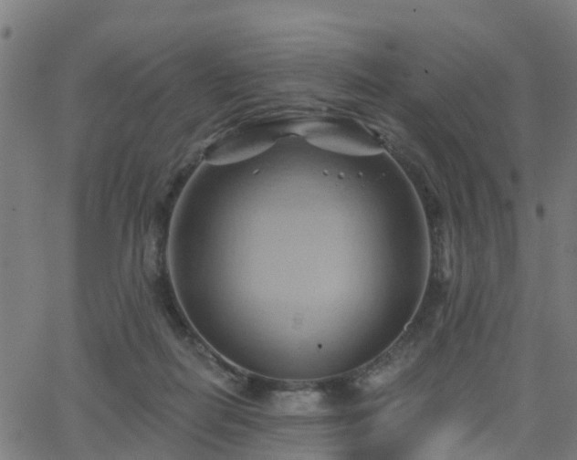 X0000062910266200601181227