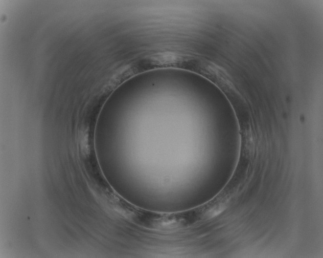 X0000062910267200601181227