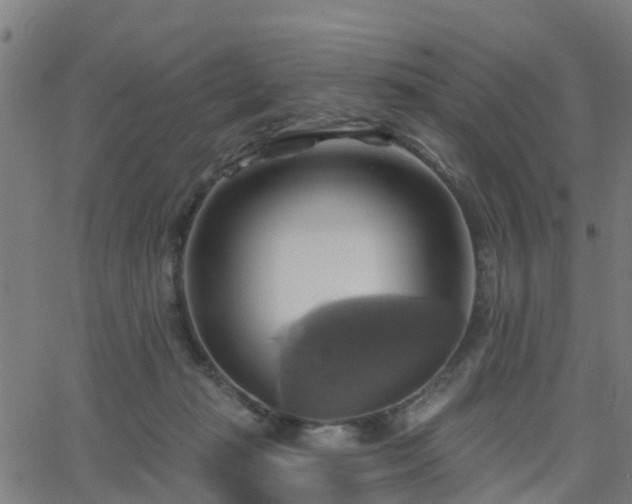 X0000062910269200601181227