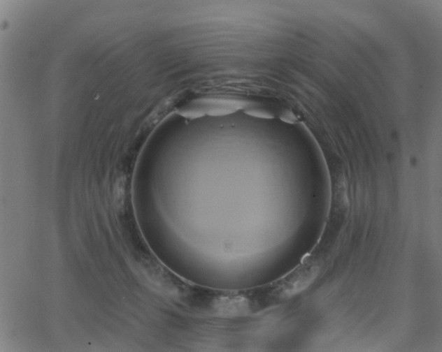 X0000062910271200601181227