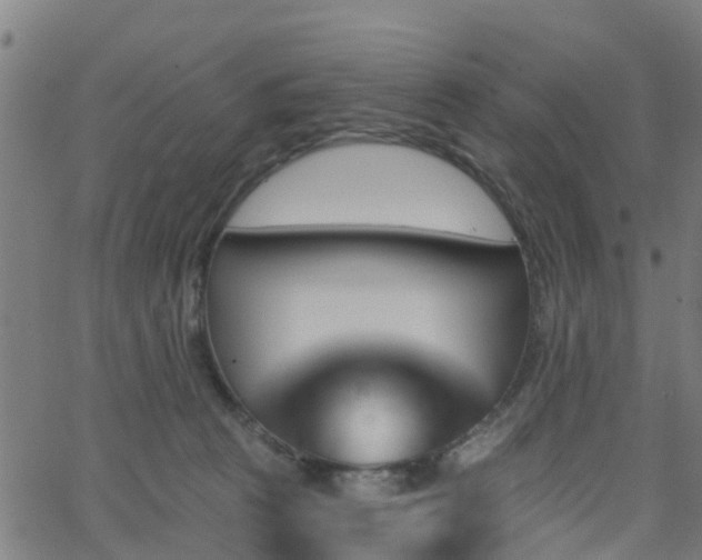 X0000062910273200601181227