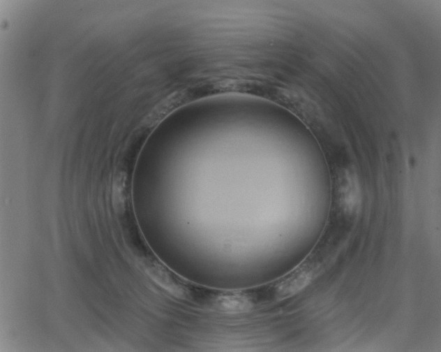 X0000062910275200601181227