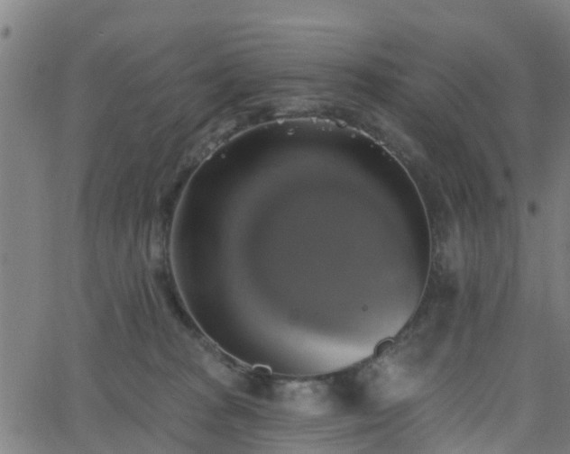 X0000062910277200601181227