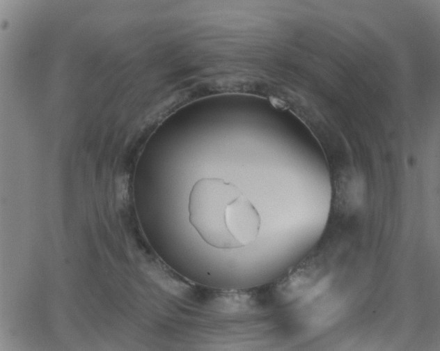 X0000062910278200601181227