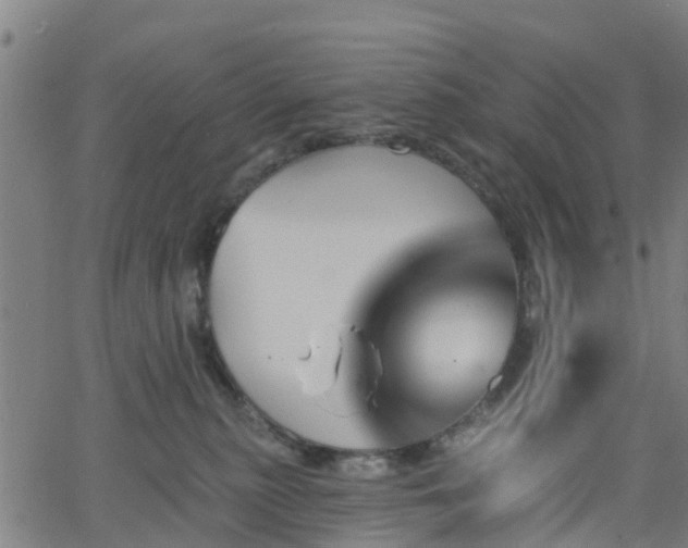 X0000062910279200601181227