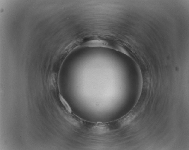 X0000062910280200601181227