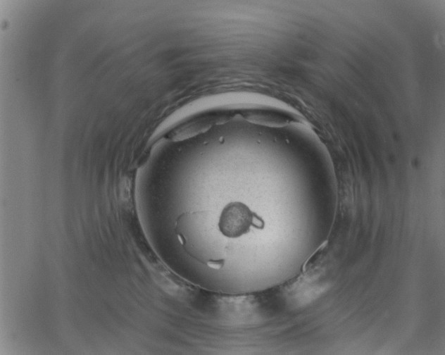 X0000062910281200601181227