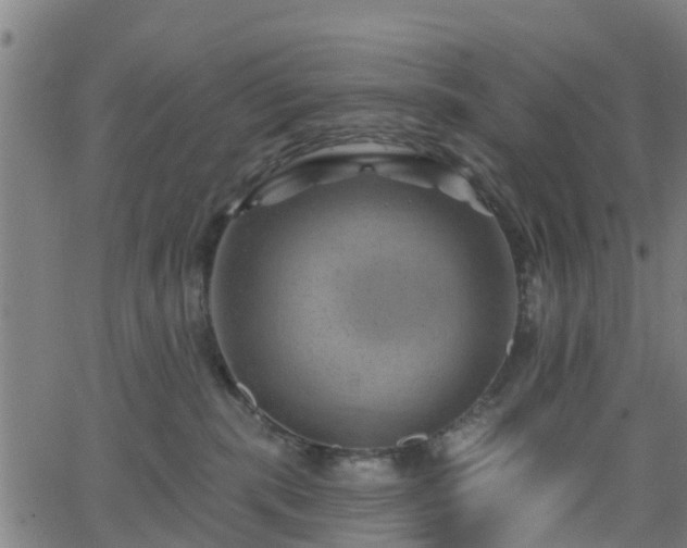 X0000062910283200601181227