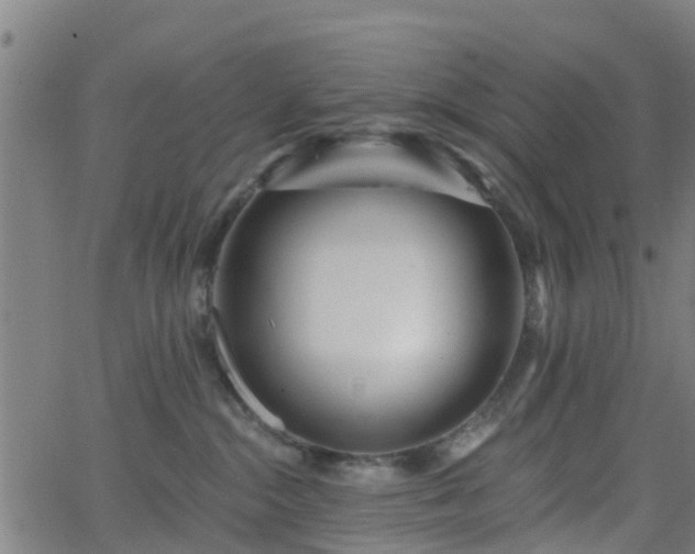 X0000062910284200601181227