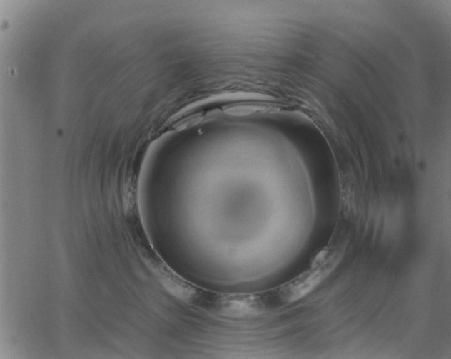 X0000062910285200601181227