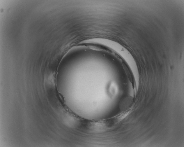 X0000062910286200601181227