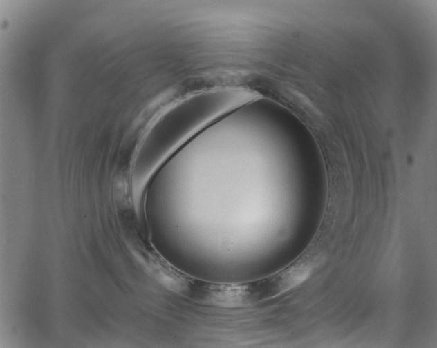 X0000062910288200601181227