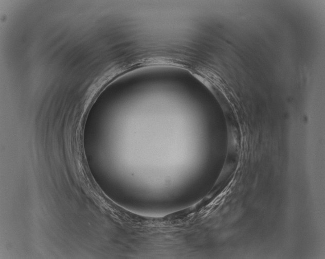 X0000062910289200601181226