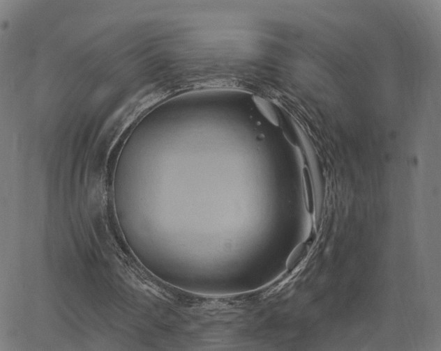 X0000062910290200601181226