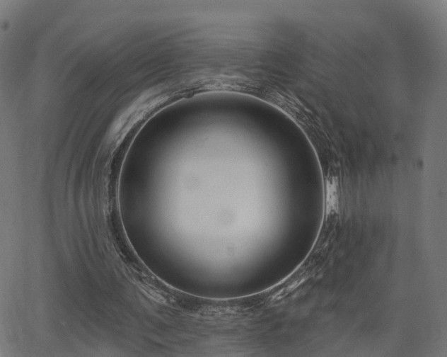 X0000062910291200601181226