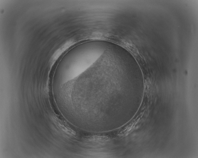 X0000062910292200601181226