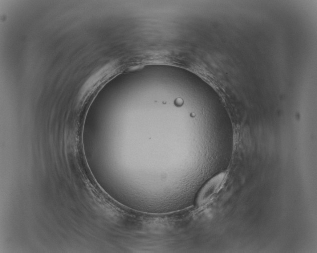 X0000062910293200601181226