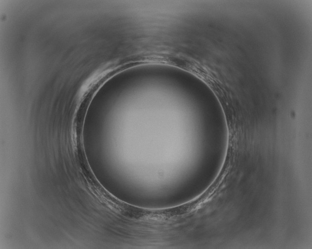 X0000062910294200601181226