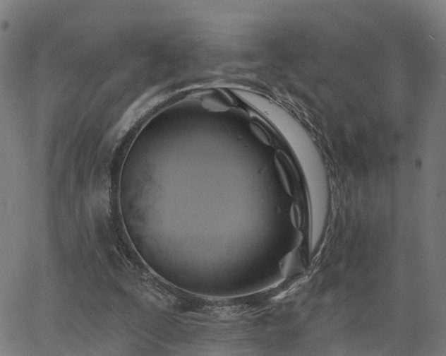 X0000062910295200601181226