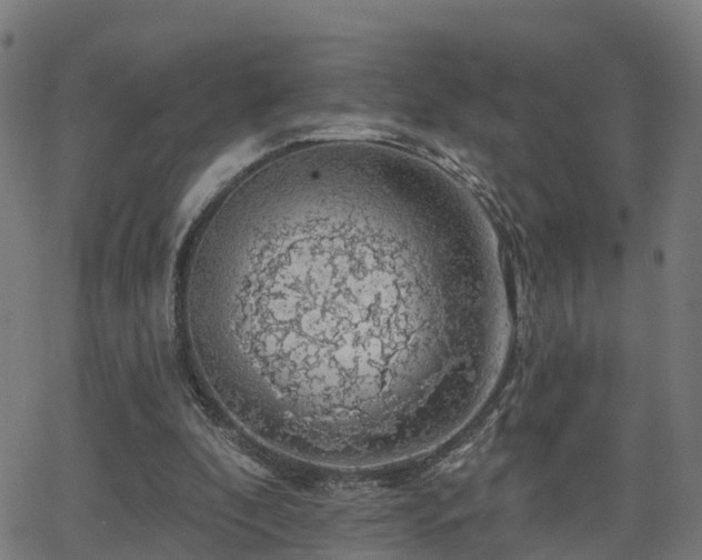 X0000062910296200601181226