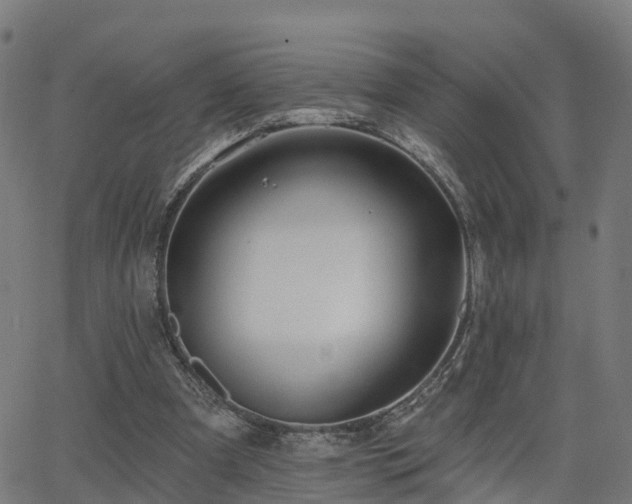 X0000062910297200601181226