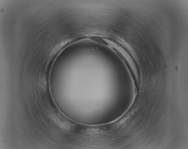 X0000062910298200601181226