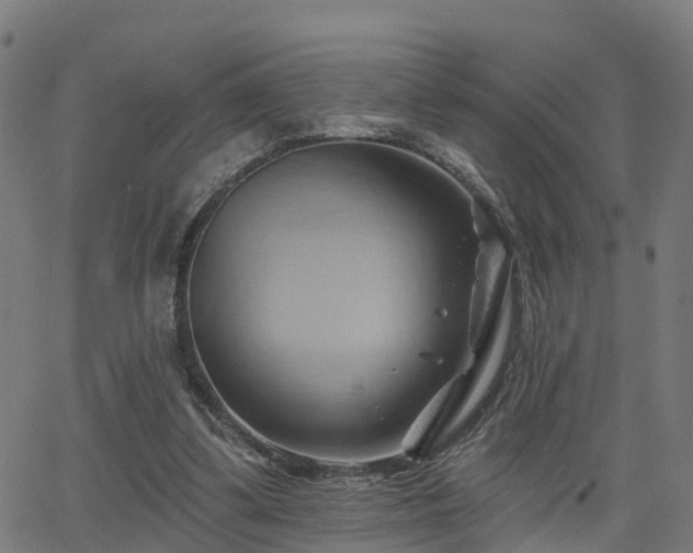 X0000062910299200601181226