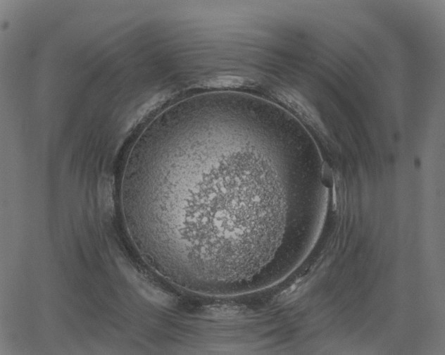 X0000062910300200601181226