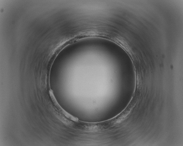 X0000062910301200601181226