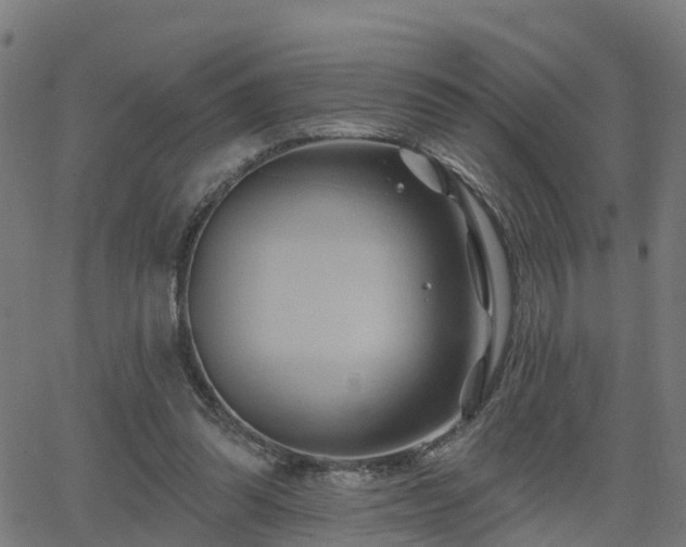 X0000062910302200601181226