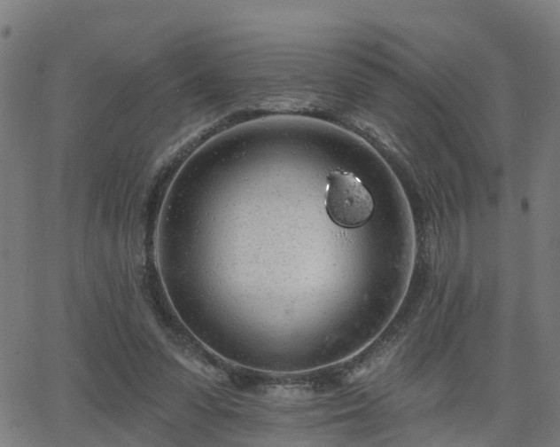 X0000062910303200601181226