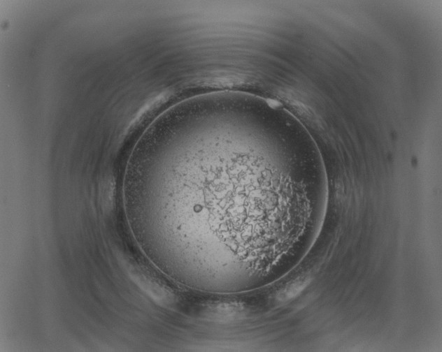 X0000062910304200601181226