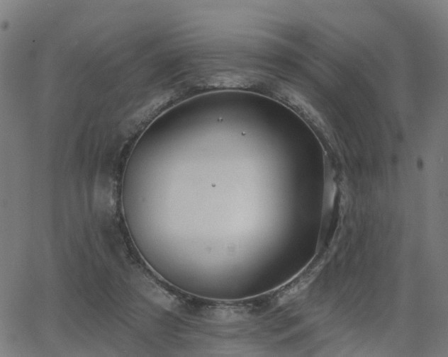 X0000062910305200601181226