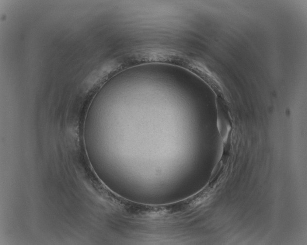 X0000062910306200601181226